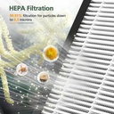 ap303-ap304-replacement-filters-compatib-4.jpg