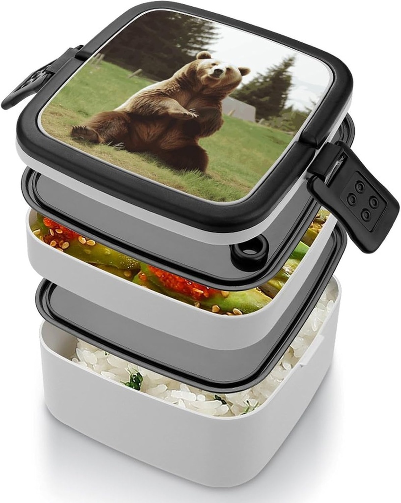 hi-bear-sit-on-the-lawn-bento-box-adult--4.jpg