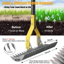 dual-action-thatch-rake-for-lawn-efficie-2.jpg