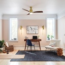 kichler-ridley-ii-52-ceiling-fan-and-lig-4.jpg