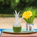 pineapple-drinking-glasses-cocktail-cup--5.jpg