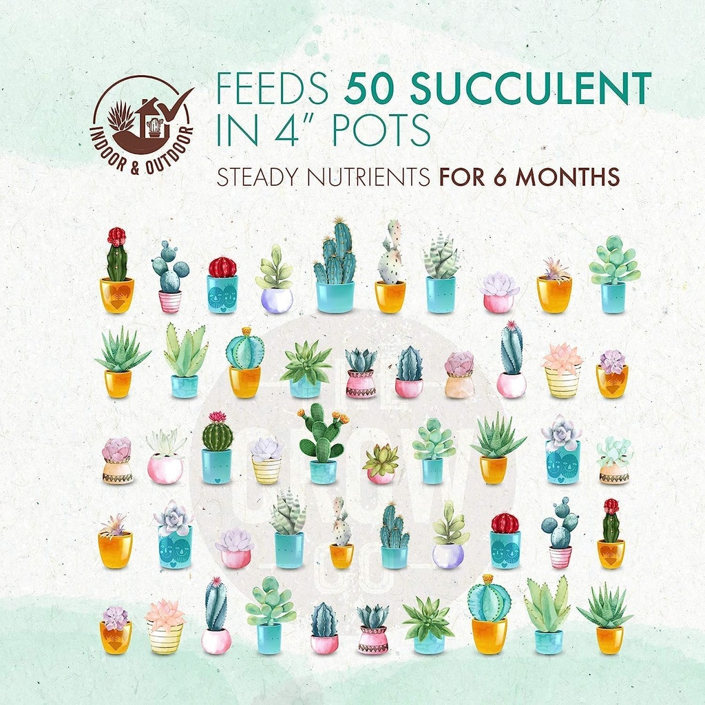 the-grow-co-succulents-cactus-plant-food-2.jpg