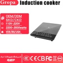 portable-induction-hot-plate-110v-220v-e-5.jpg
