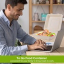 greensight-compostable-take-out-food-con-3.jpg