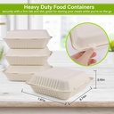 greensight-compostable-take-out-food-con-6.jpg