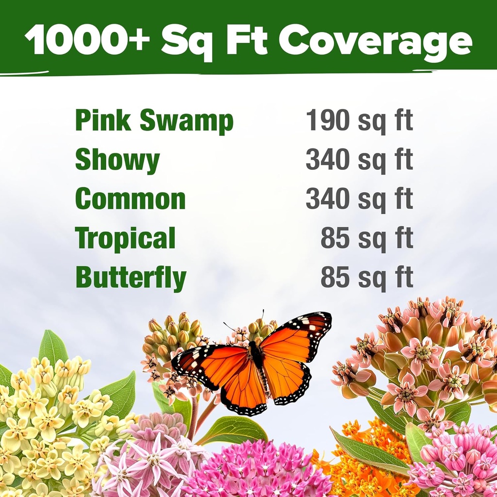 home-grown-milkweed-flower-seeds---500-h-4.jpg