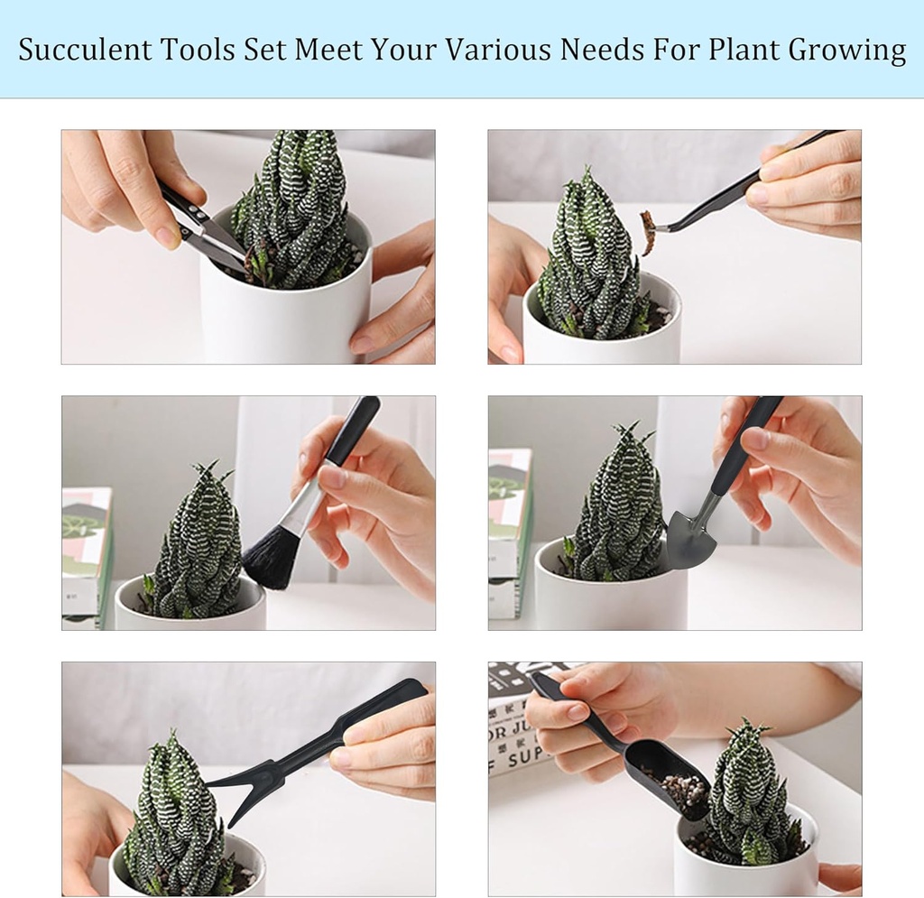 13pcs-succulent-tools-set-mini-garden-to-5.jpg