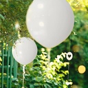 asiyuhy-white-balloons-100-pack-12-inch--4.jpg