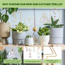 small-trellis-for-potted-plants-indoor-w-2.jpg