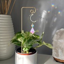 small-trellis-for-potted-plants-indoor-w-4.jpg