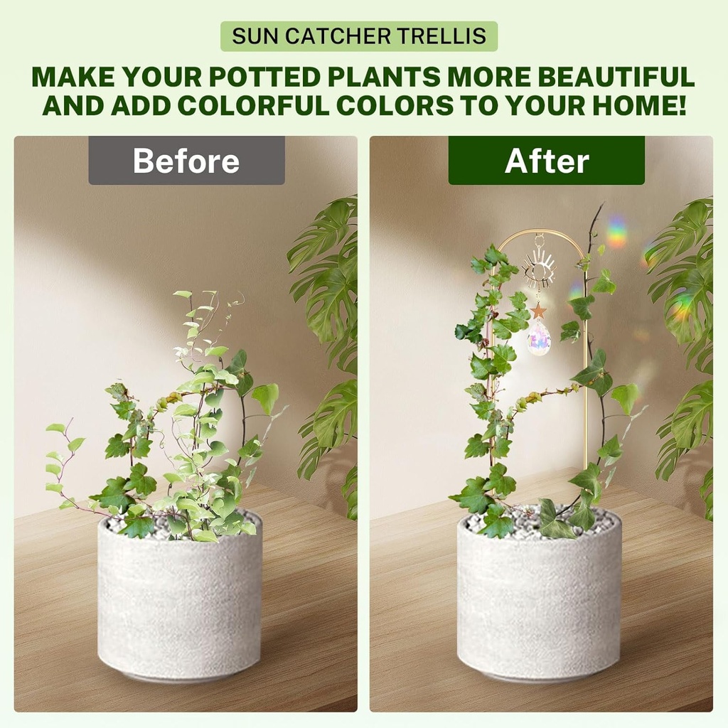 small-trellis-for-potted-plants-indoor-w-6.jpg