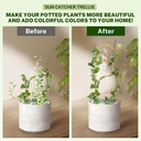 small-trellis-for-potted-plants-indoor-w-6.jpg