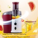 slow-masticating-juicer-extractor-wide-m-6.jpg