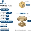 10-pack-cabinet-knobs-1-316-inch-champag-2.jpg