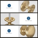 10-pack-cabinet-knobs-1-316-inch-champag-3.jpg
