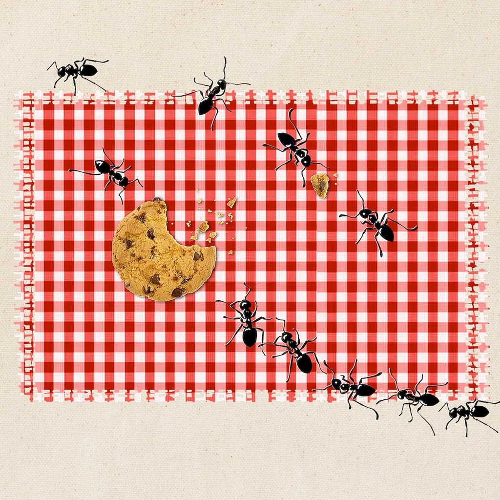 cafepress-ant-picnic-on-red-checkered-cl-2.jpg