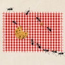 cafepress-ant-picnic-on-red-checkered-cl-2.jpg