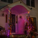 dazzle-bright-164-ft-500-led-halloween-s-4.jpg