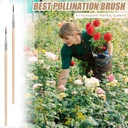 40pcs-pollinating-brush-wooden-plant-pol-3.jpg