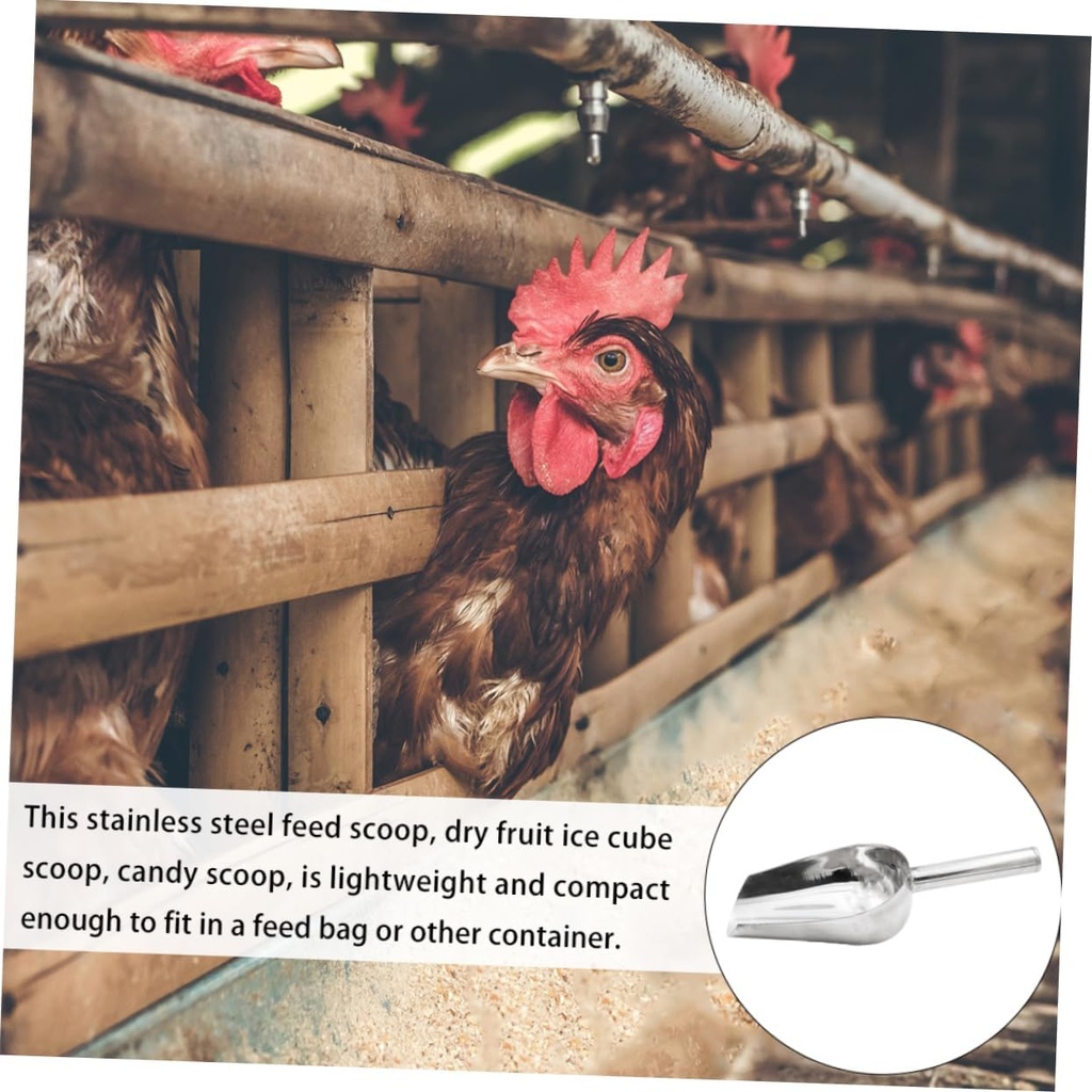 alipis-stainless-steel-feed-scoop-for-li-4.jpg