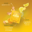 pukka-herbs-organic-lemon-ginger-manuka--4.jpg