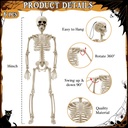 6-pcs-halloween-skeleton-decorations-16--2.jpg