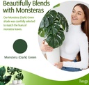 stackable-monstera-plant-support-stakes--5.jpg