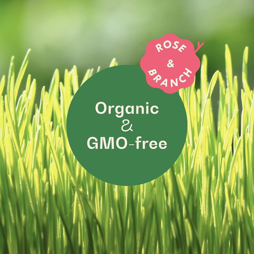 rose-branch-organic-wheat-grass-seeds-fo-2.jpg