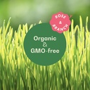 rose-branch-organic-wheat-grass-seeds-fo-2.jpg