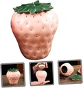 ceramic-strawberry-shape-tea-canister-wi-4.jpg