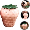 ceramic-strawberry-shape-tea-canister-wi-5.jpg