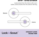 lock-scout-straight-lever-with-round-tri-2.jpg