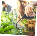 garden-hoe-hand-tool-for-weeding-and-pla-3.jpg