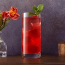 highball-glasses-clear-crystal-iced-tea--4.jpg