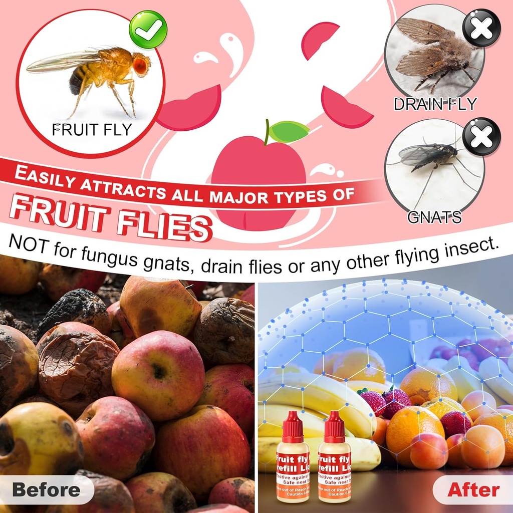 qualirey-4-pack-fruit-fly-trap-refill-li-4.jpg