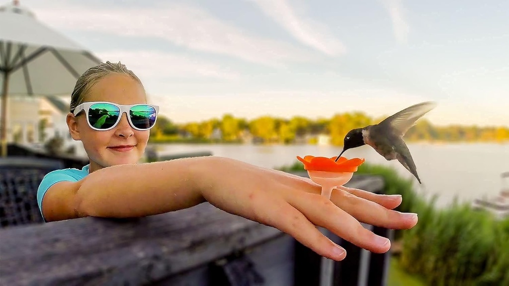 hummingbird-ring-feeder-red---hand-feed--6.jpg
