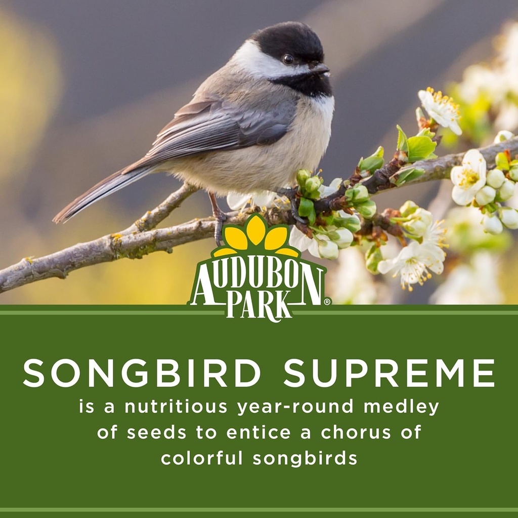audubon-park-songbird-supreme-wild-bird--5.jpg