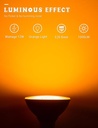 jandcase-orange-and-purple-halloween-lig-6.jpg