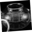 heat-resistant-borosilicate-glass-tea-po-5.jpg