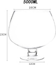 super-big-clearer-glass-giant-glass-larg-2.jpg