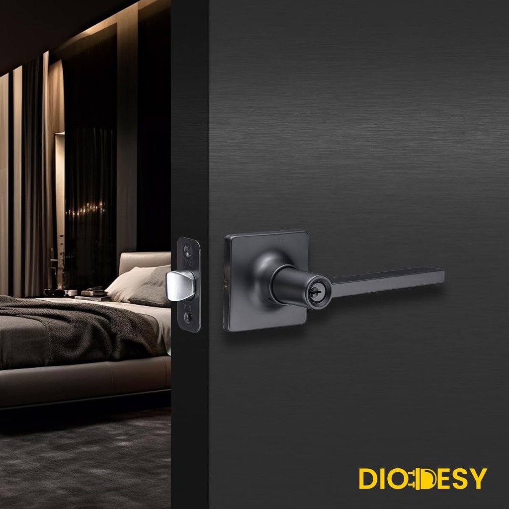 diodesy--entry-door-handle-with-key-reve-2.jpg