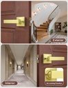 mengico-10-pack-passage-door-levers-gold-3.jpg