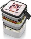 adult-double-layer-bento-box-cute-owl-po-4.jpg