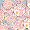 daisy-disposable-plates-for-party-60-pie-4.jpg