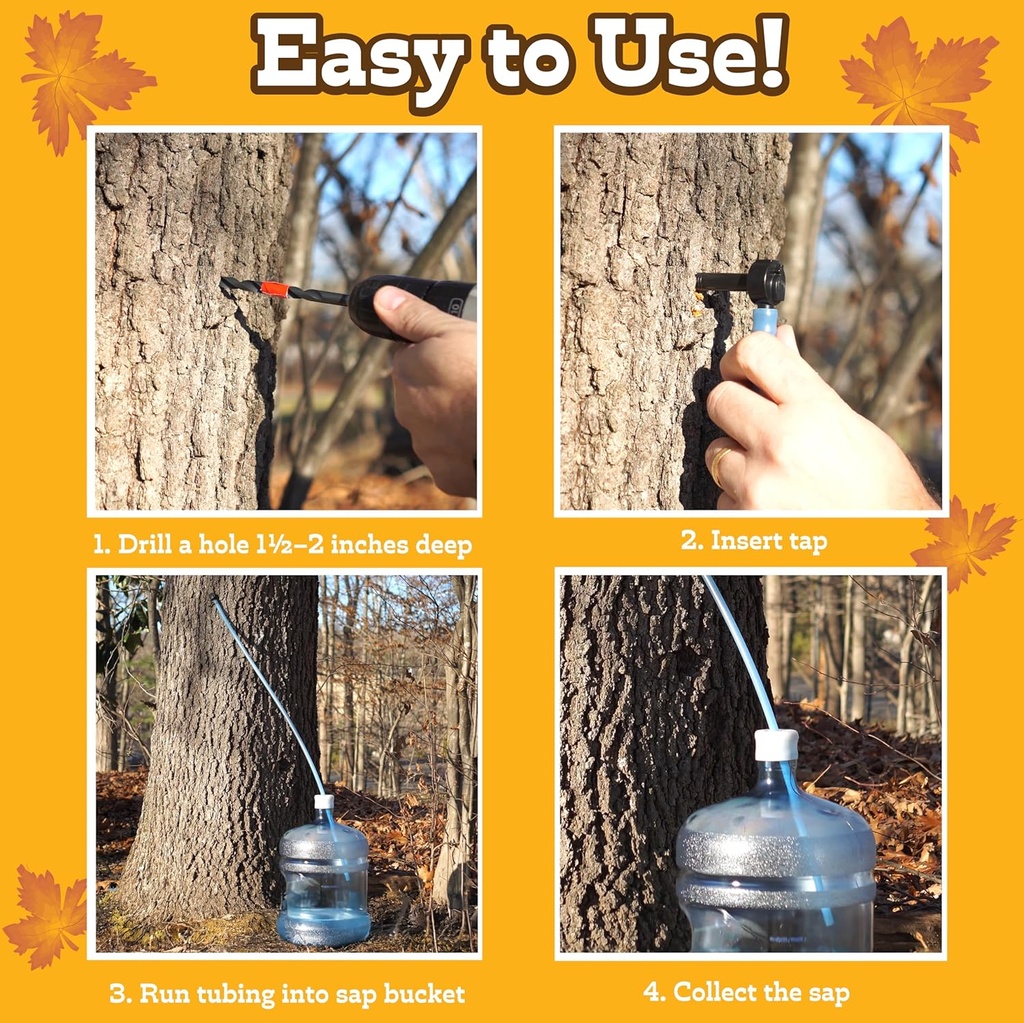 deluxe-maple-syrup-tree-tapping-sugaring-6.jpg