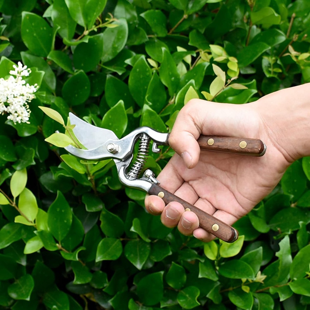 lightweight-wooden-handle-pruning-floral-2.jpg