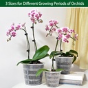 orchid-pot-12-pack-orchid-pots-with-hole-2.jpg