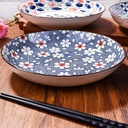 ceramic-dinner-plates-set-of-48-inch-jap-3.jpg