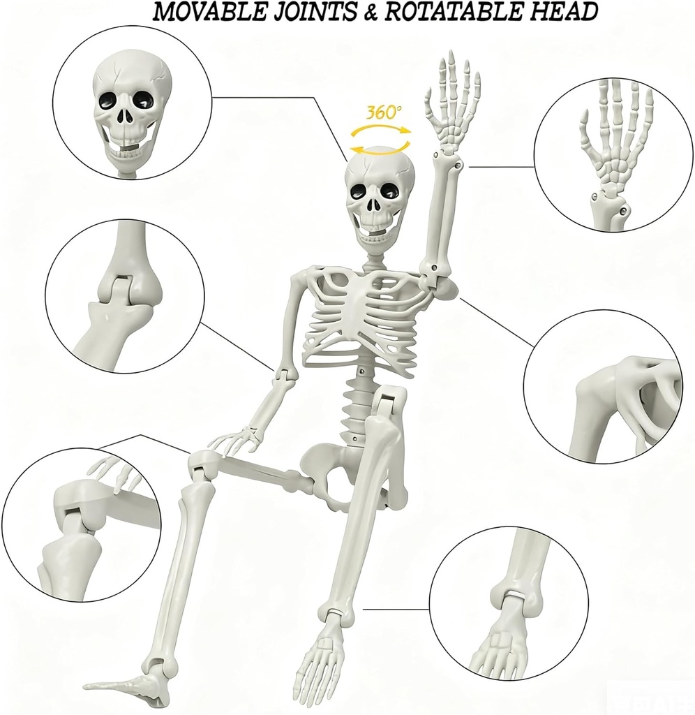 lukbera-2-pack-3-ft-halloween-skeleton-p-3.jpg