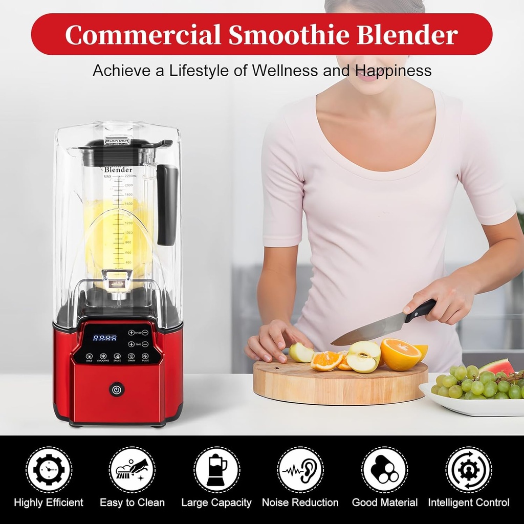 commercial-smoothie-blender-22l744oz-220-3.jpg